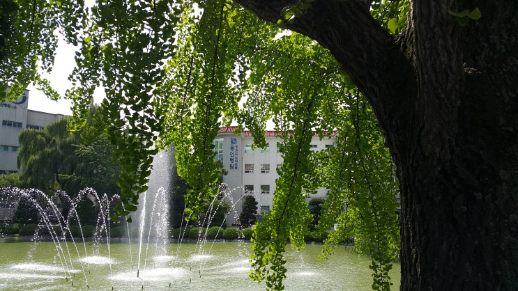 20190802_150354.jpg