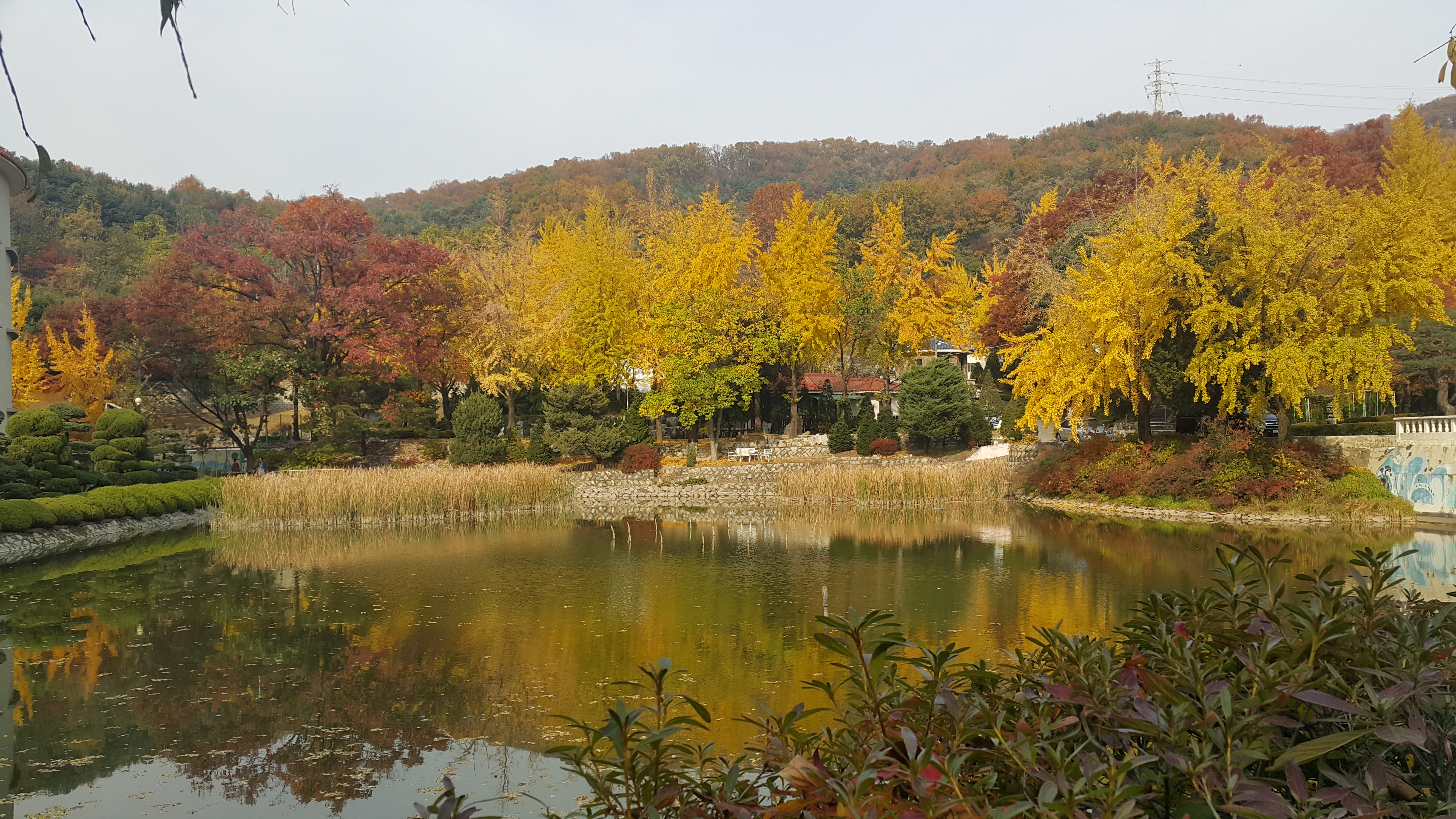 걷노라면 힐링되는 아름다운 경기도립노인전문용인병원 산책길 2 20191106_142307.jpg