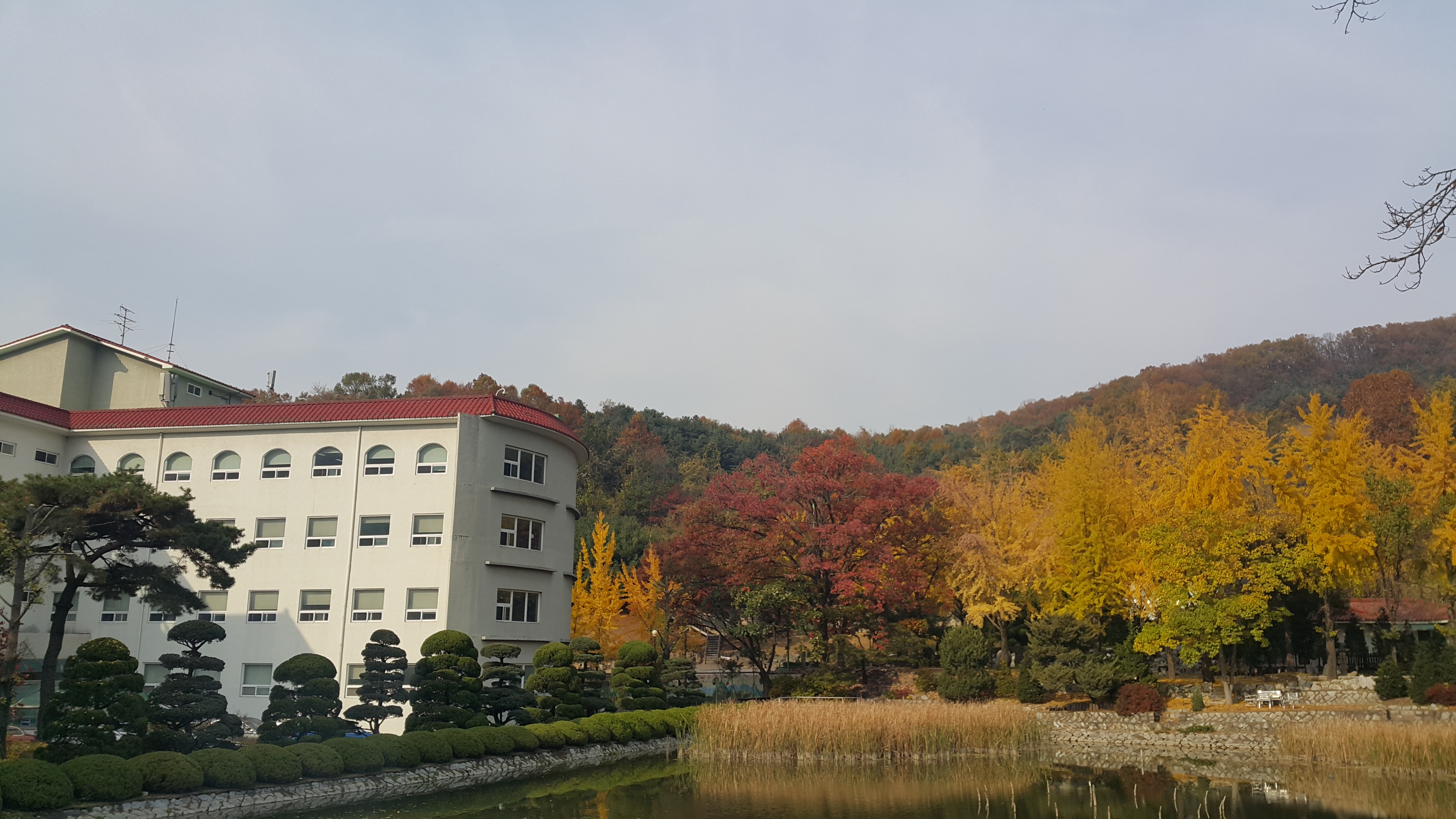 걷노라면 힐링되는 아름다운 경기도립노인전문용인병원 산책길 1 20191106_142329.jpg