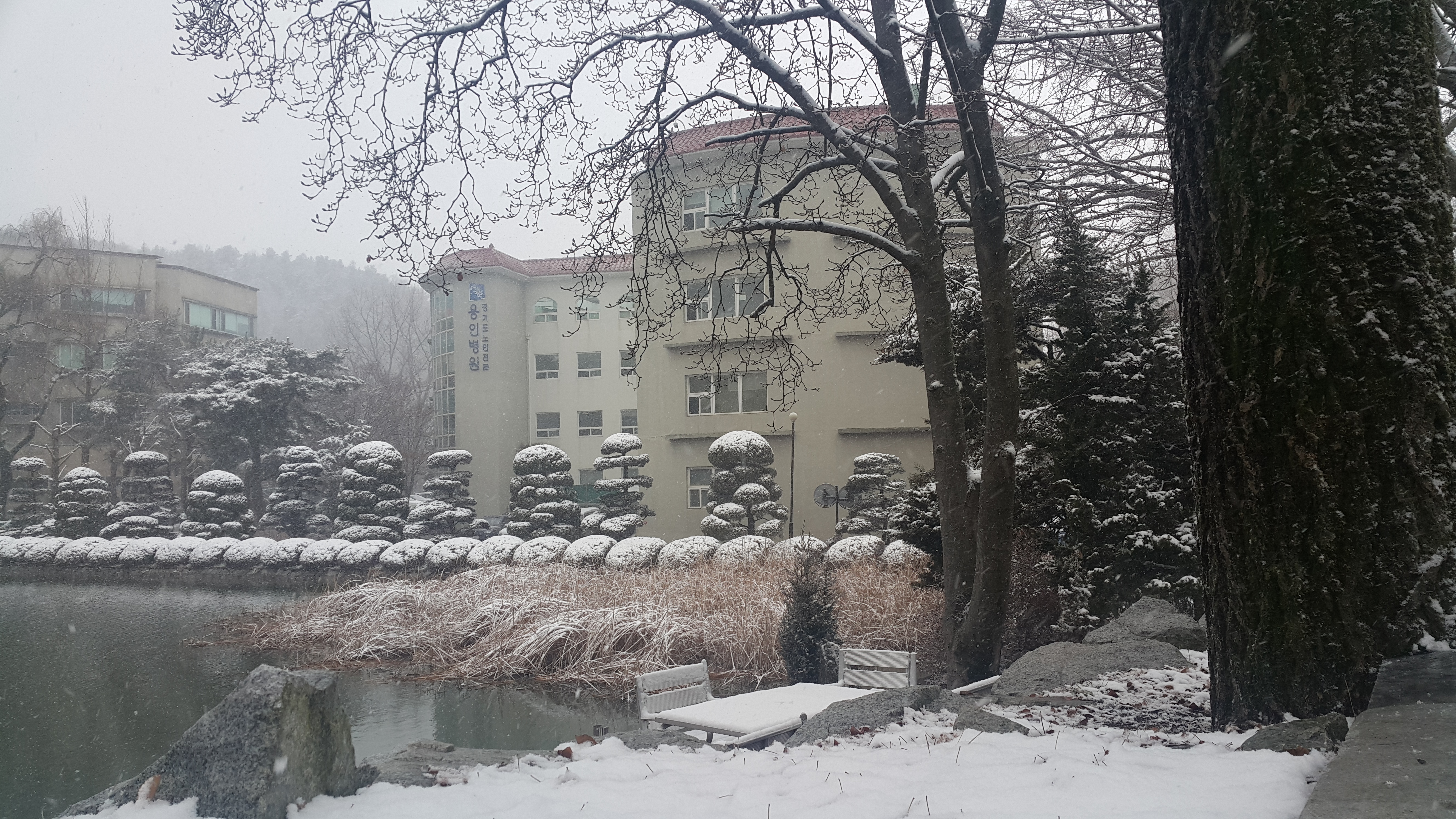 20200216_145527.jpg