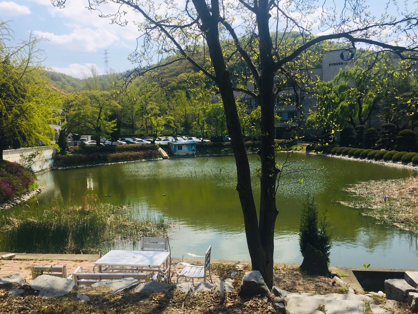 KakaoTalk_20200428_095426139.jpg
