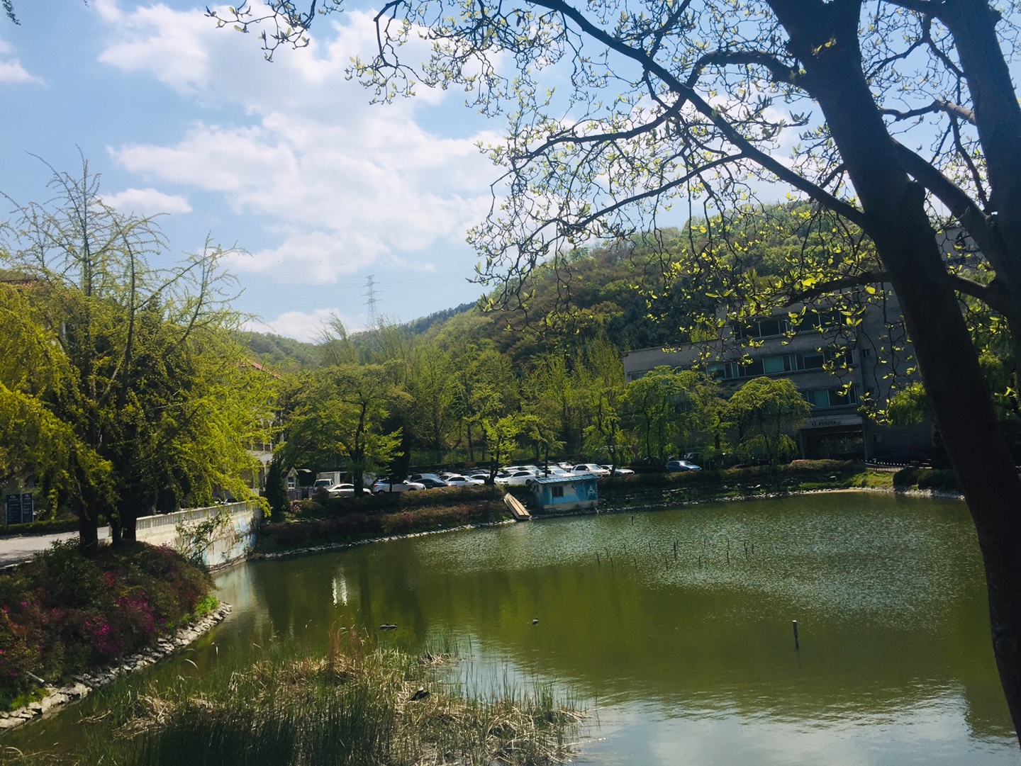KakaoTalk_20200428_095427624.jpg