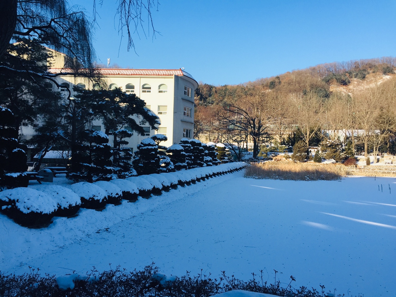 2021년 1월 겨울 햇살 5 KakaoTalk_20210114_152134975_03.jpg