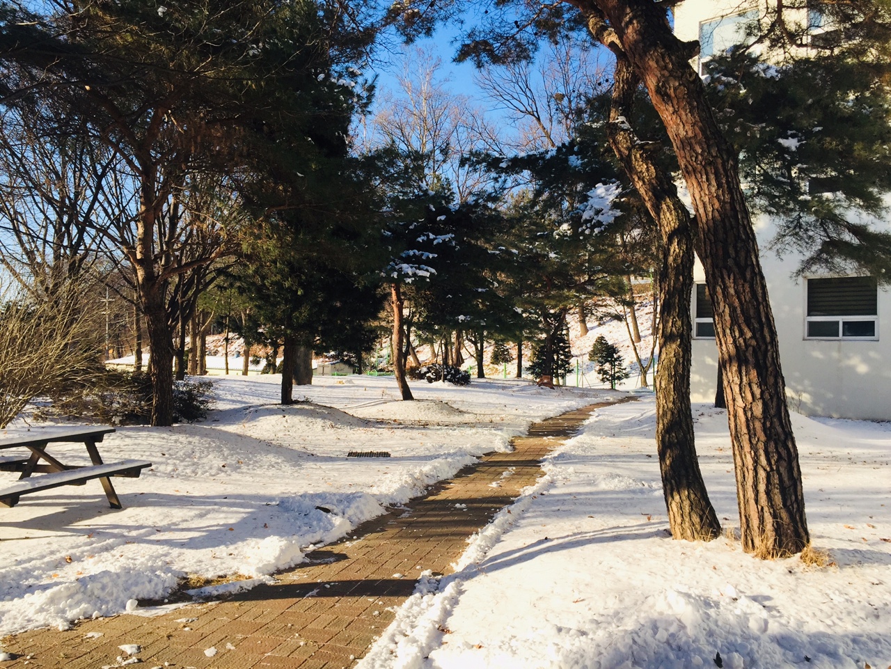 2021년 1월 겨울 햇살 4 KakaoTalk_20210114_152134975_02.jpg