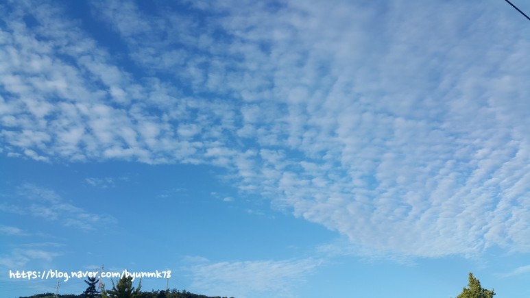 SE-1aa6c610-e9f8-4f55-9989-4e21120d83bf.jpg