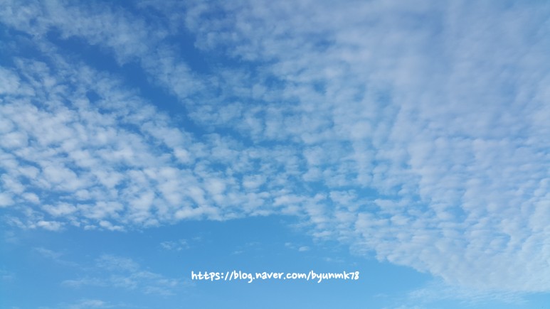 SE-b9b13216-54c6-43ce-bd1d-674a85e3e80f.jpg
