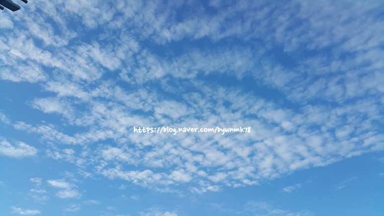 SE-724f9e94-461f-45f5-a0e5-91174cf720fb.jpg