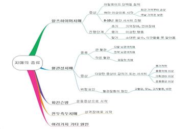 2. 치매 이야기 마인드맵.png.jpg
