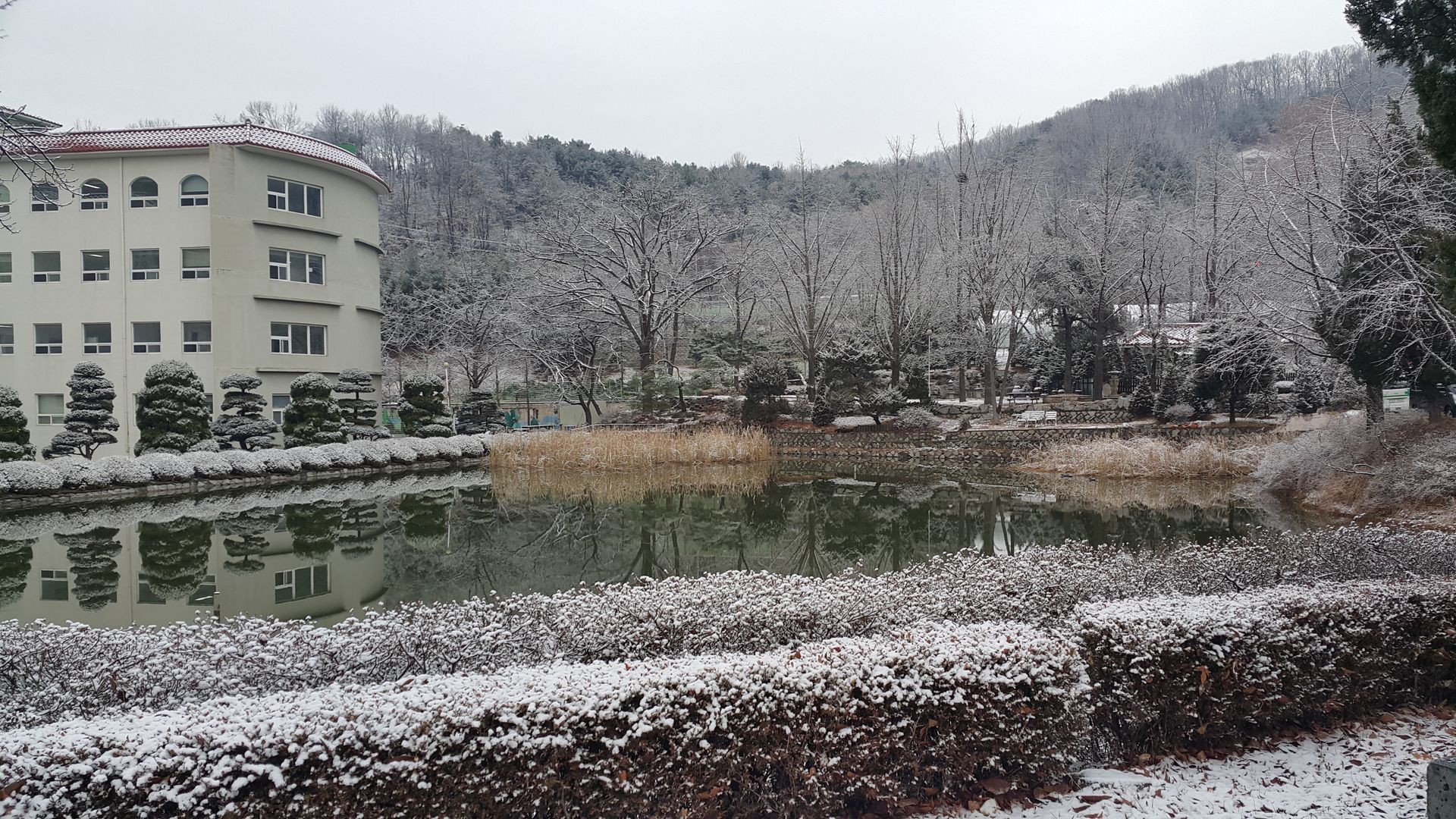 20181206_083201.jpg