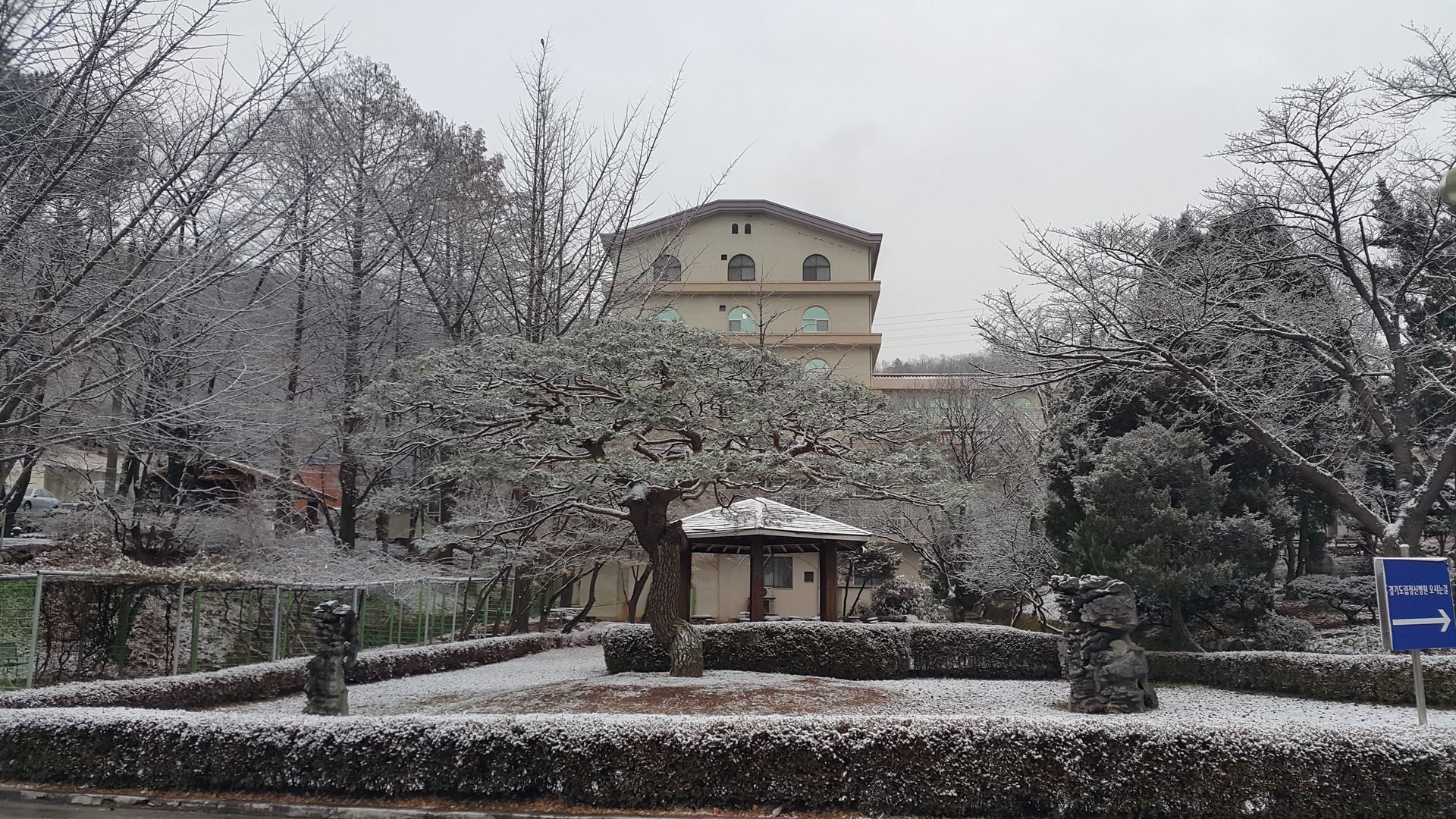 20181206_083256.jpg