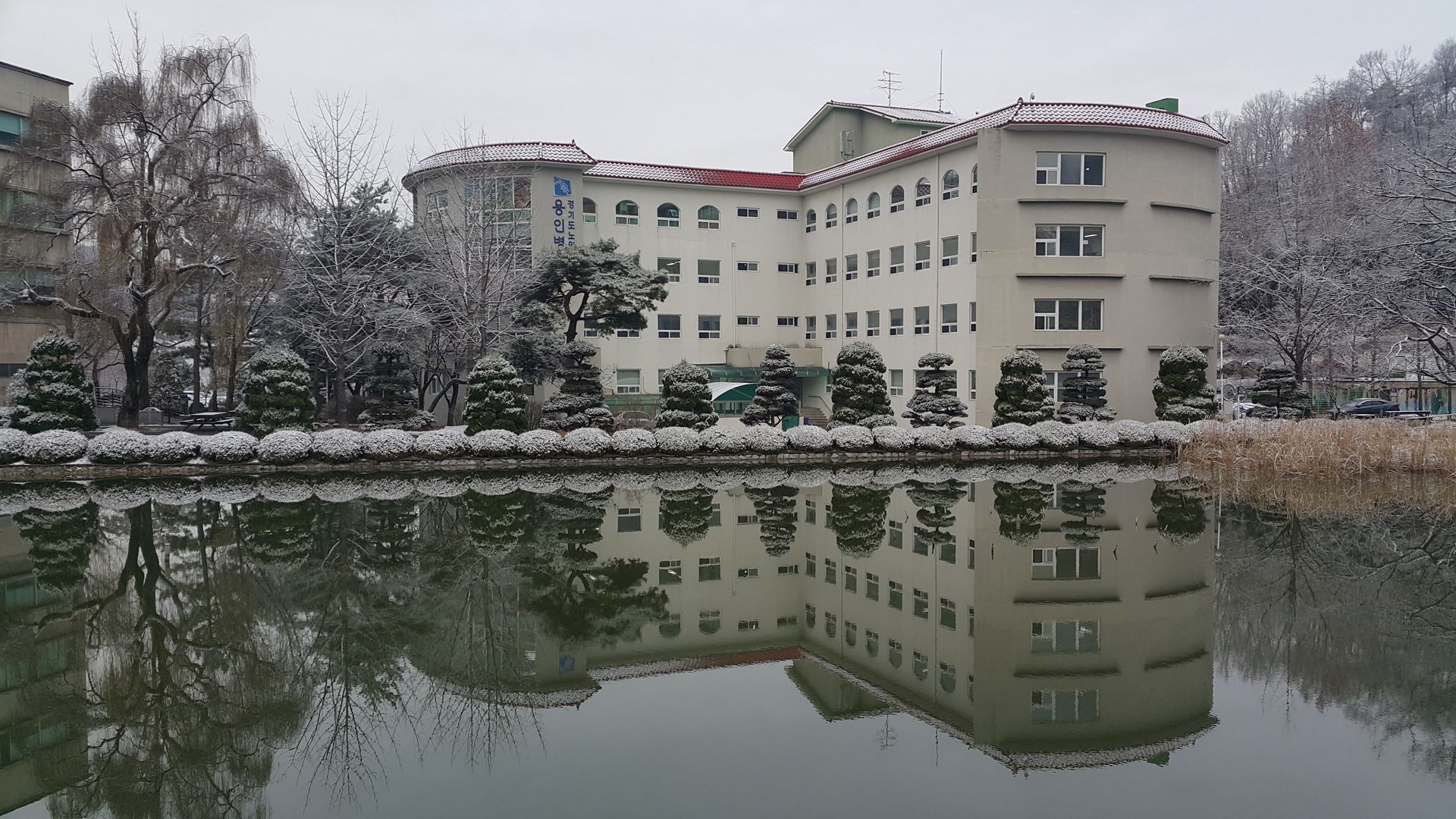 20181206_083227.jpg