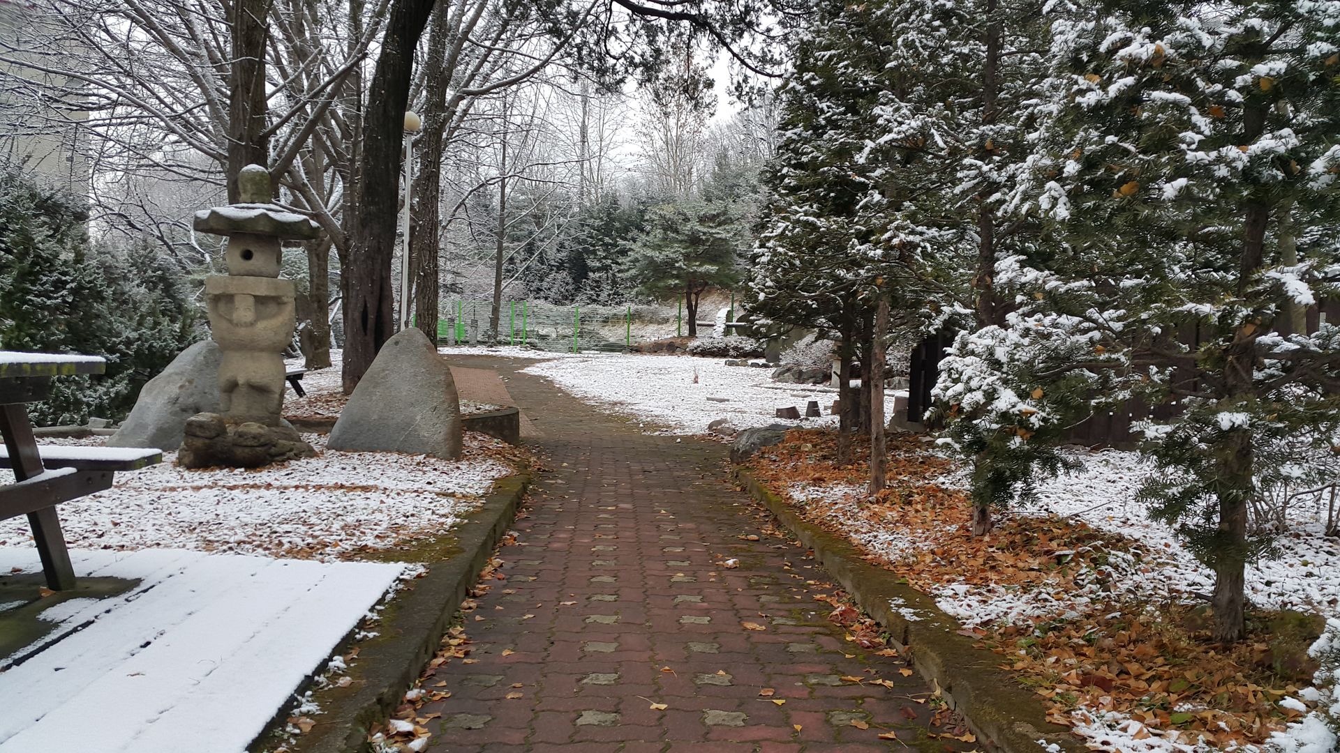 20181206_083414.jpg