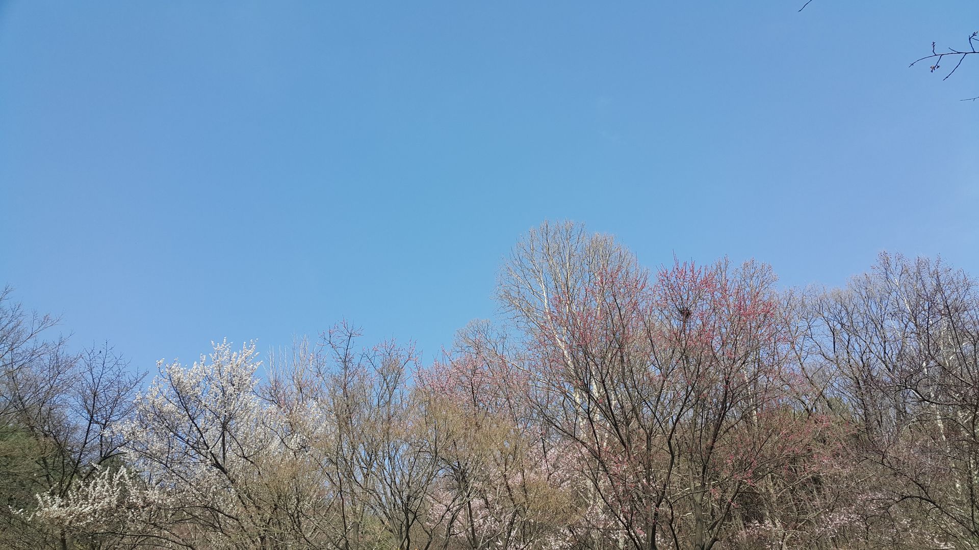 20190408_150503.jpg