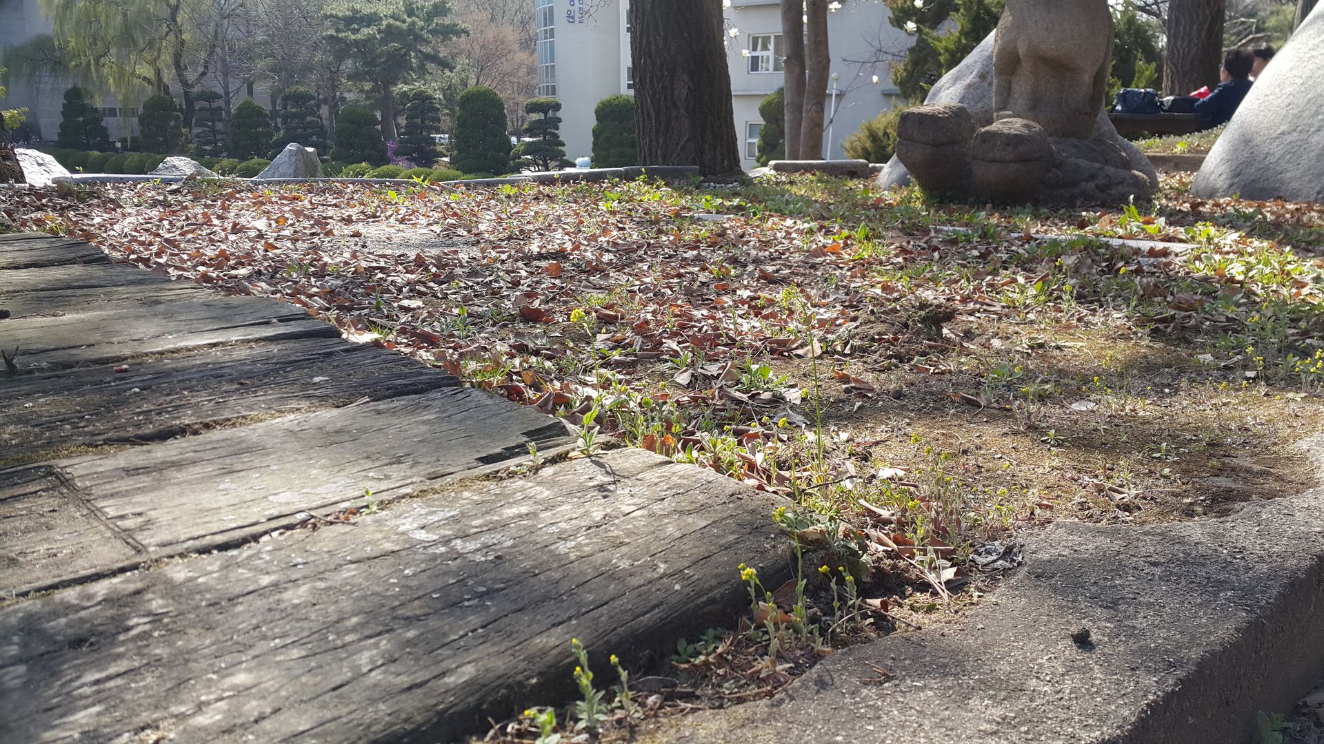 20190408_150721.jpg