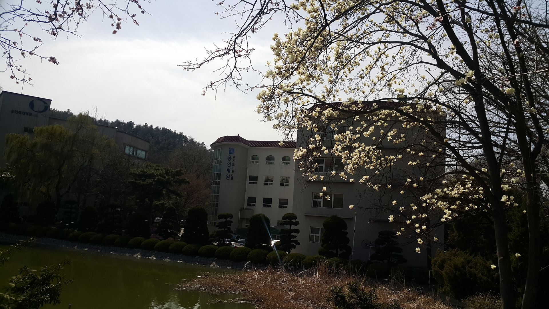 20190408_150704.jpg