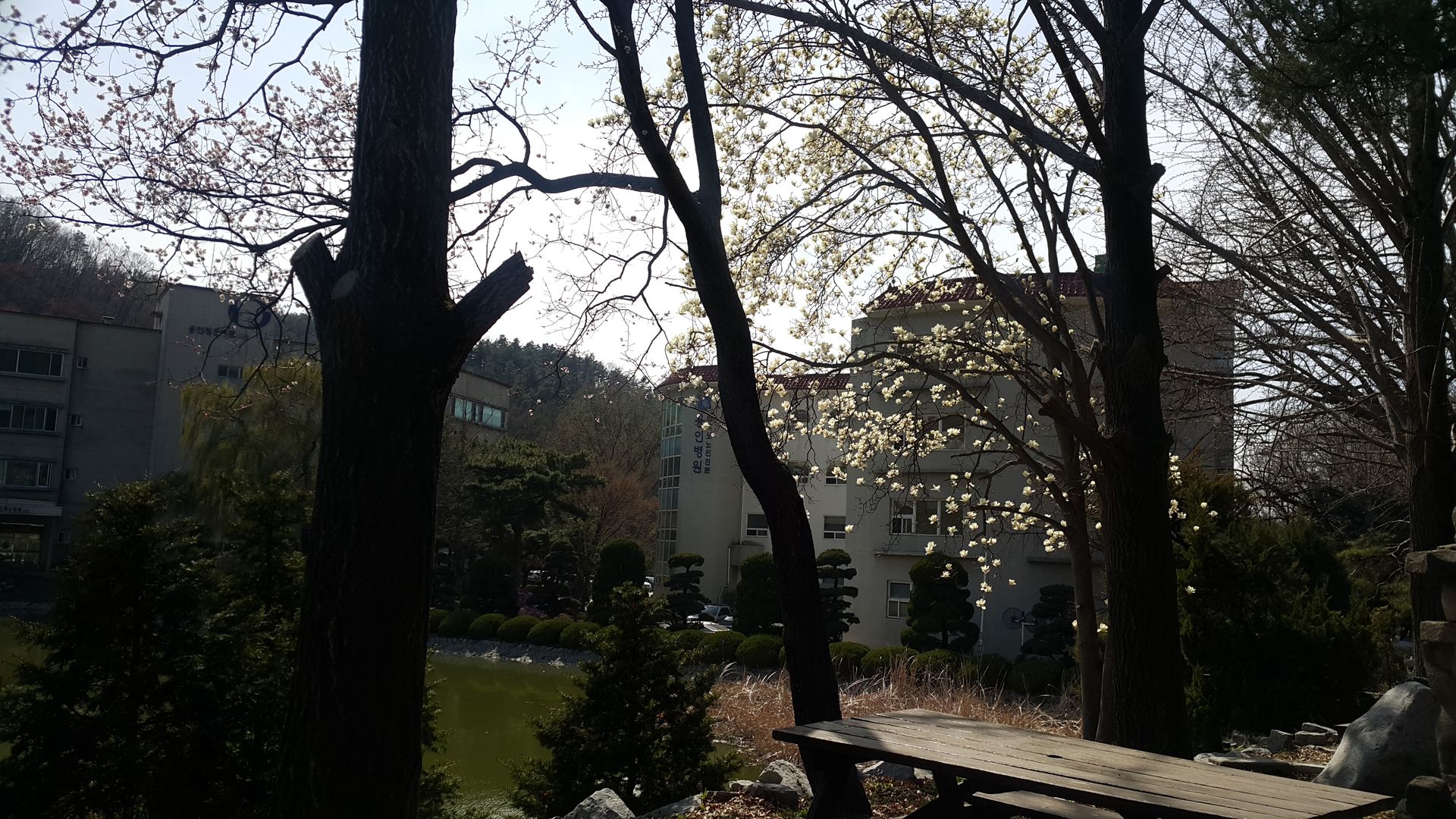 20190408_150647.jpg