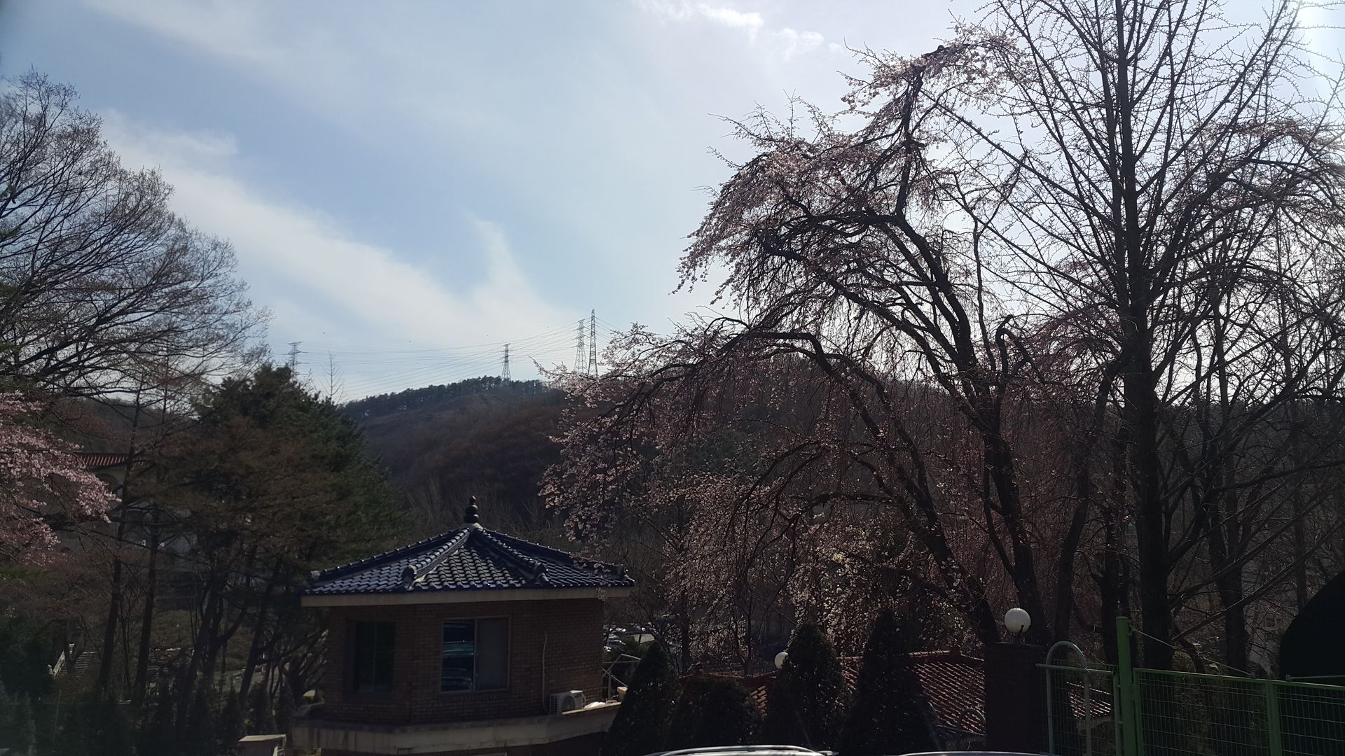 20190408_150555.jpg