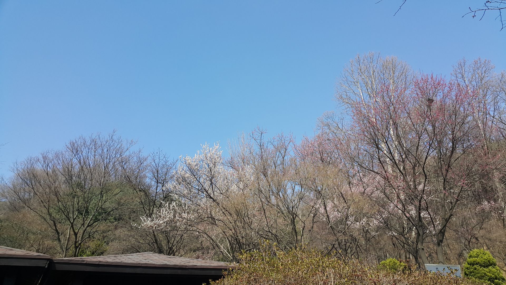 20190408_150454.jpg