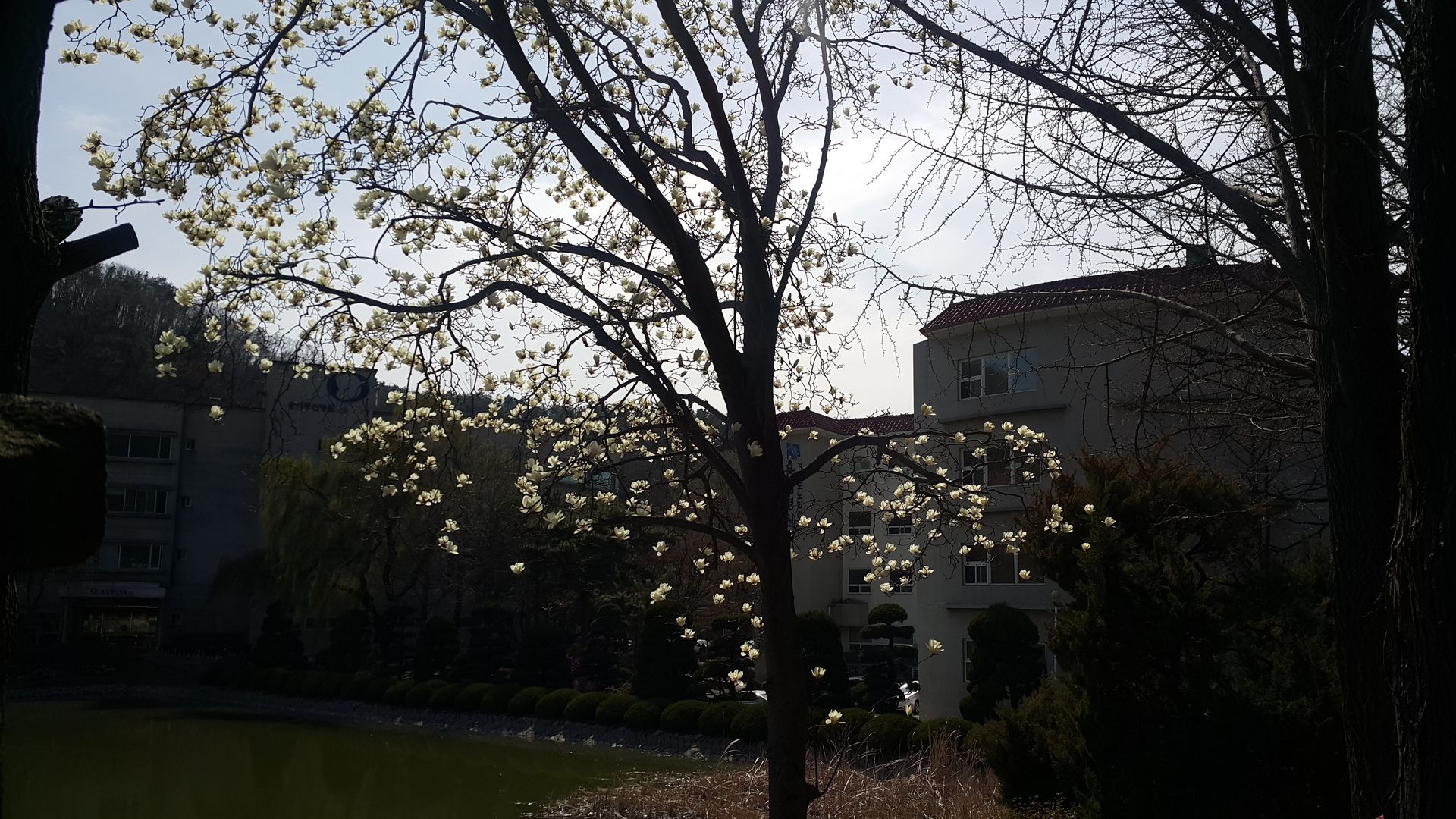 20190408_150737.jpg