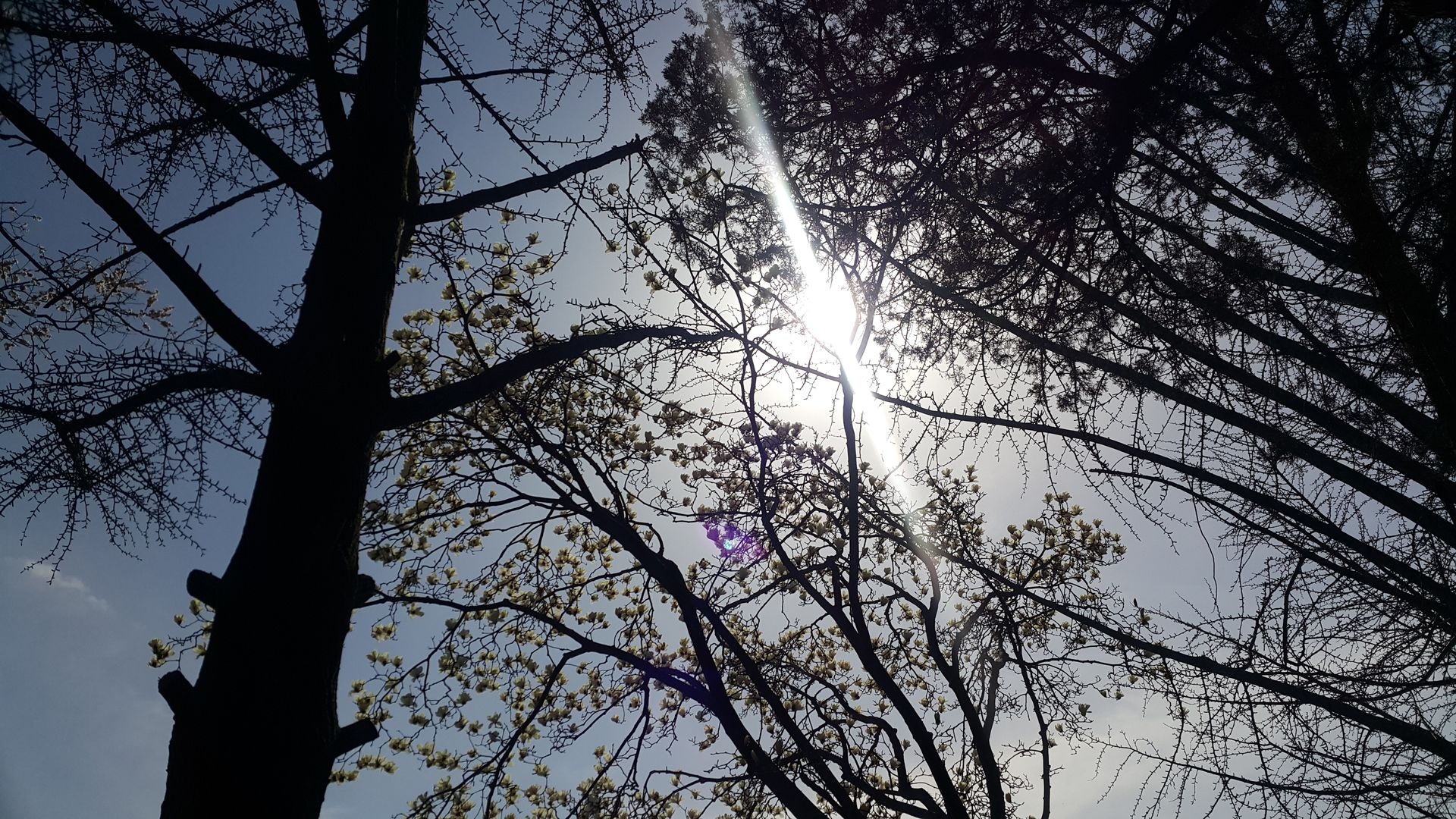 20190408_150743.jpg
