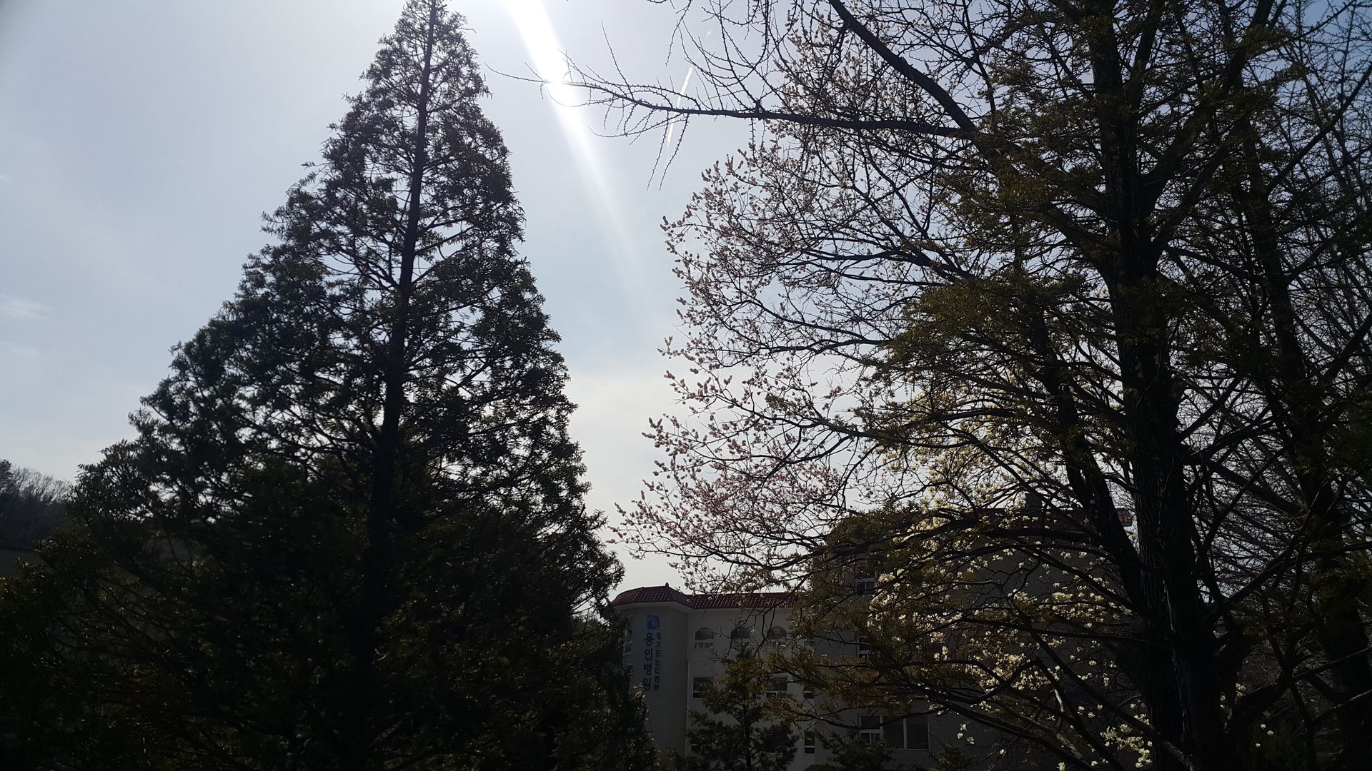 20190408_150625.jpg