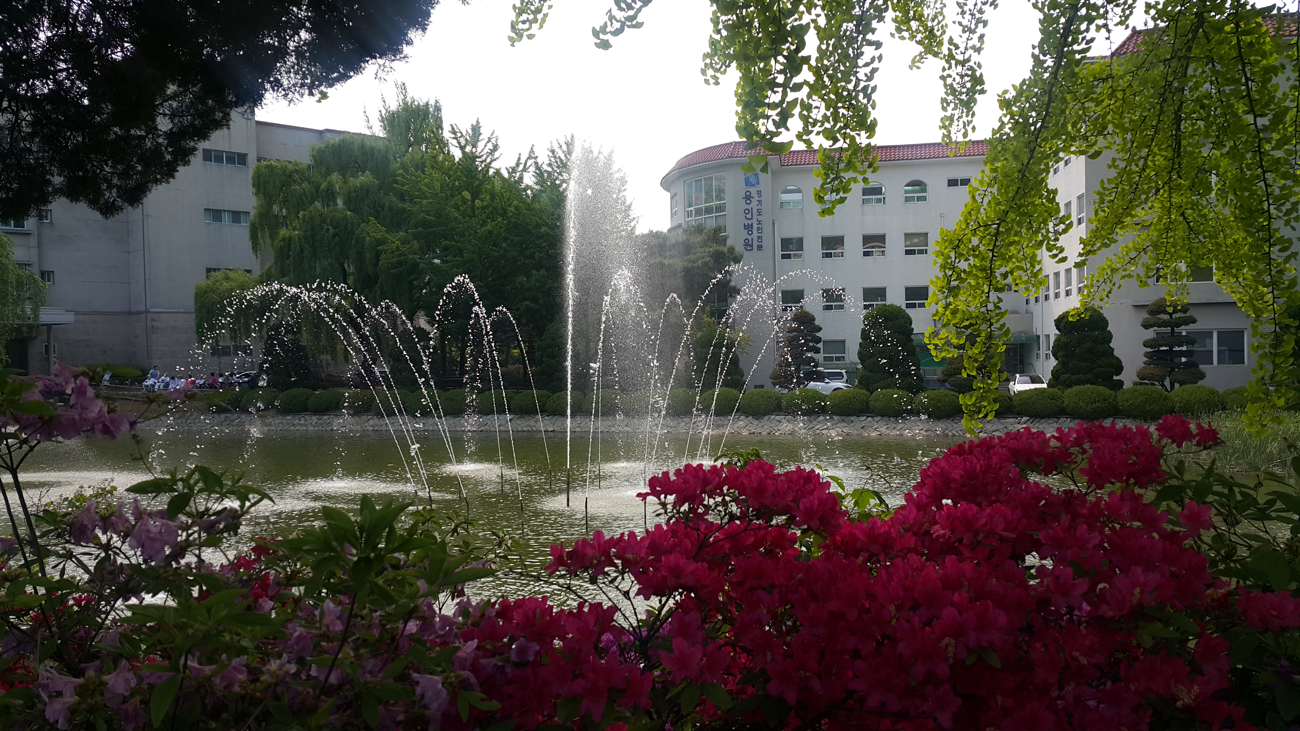 20190514_150406.jpg