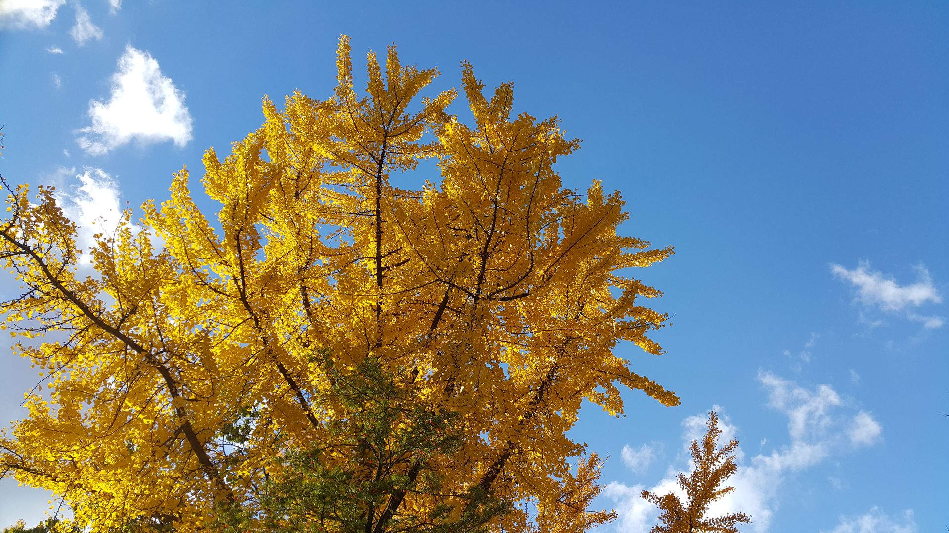 20181027_155339.jpg
